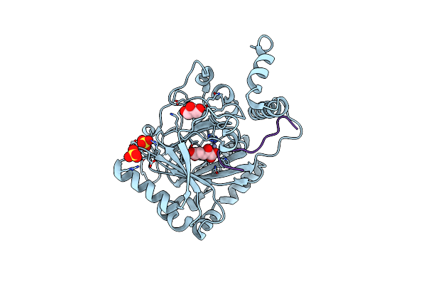 3D8C image