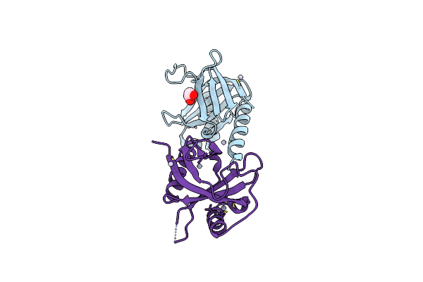 3D8D image