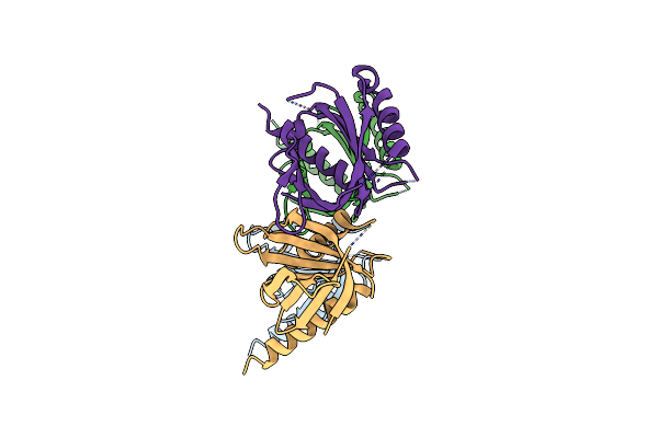 3D8E image