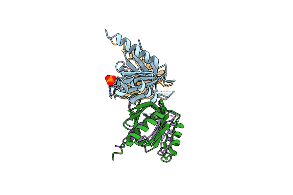 3D8F image