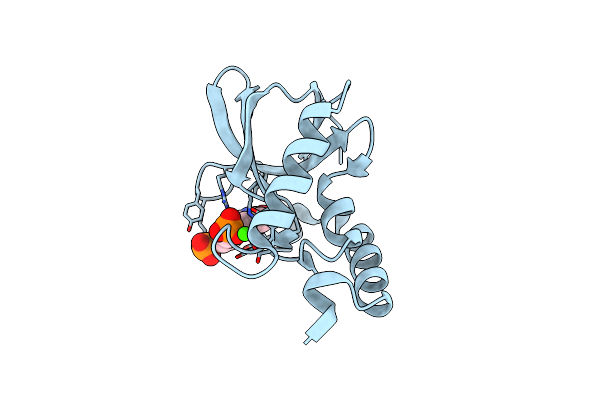 3D8G image