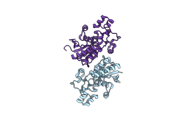 3D8H image