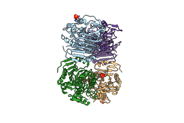 3D8K image