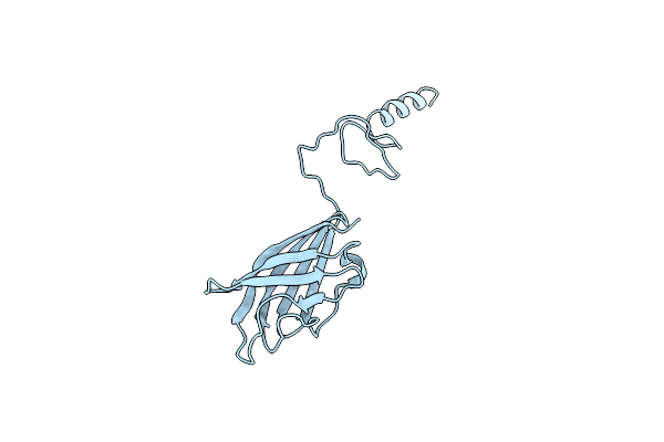 3D8M image