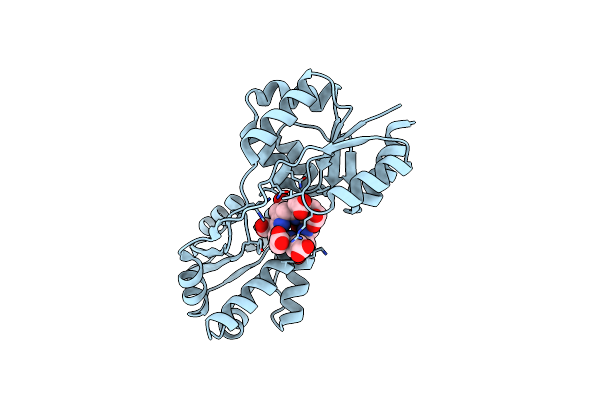 3D8N image