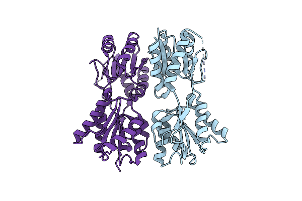 3D8U image
