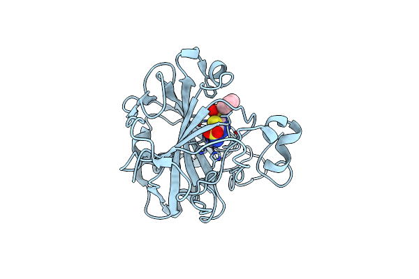 3D8W image