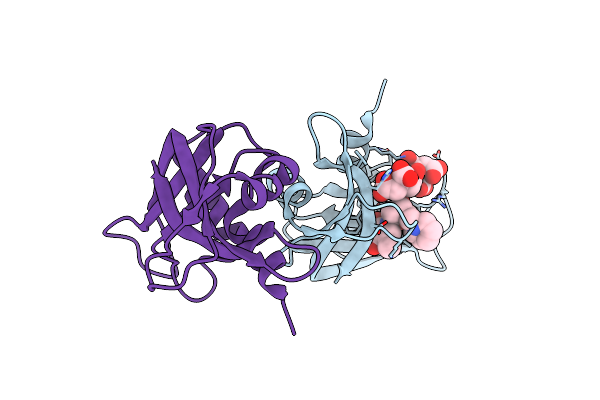 3D8Y image