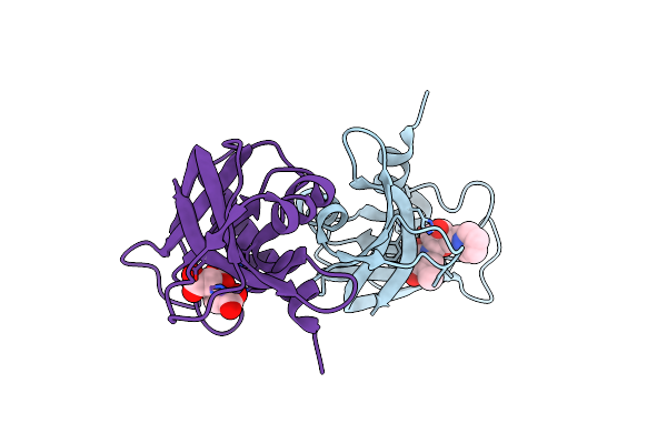 3D8Z image