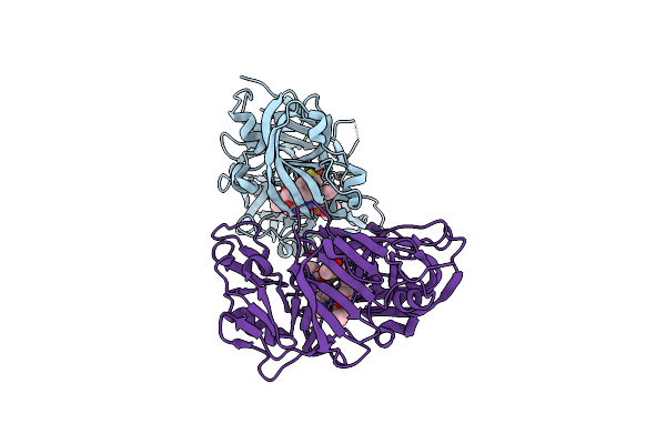 3D91 image