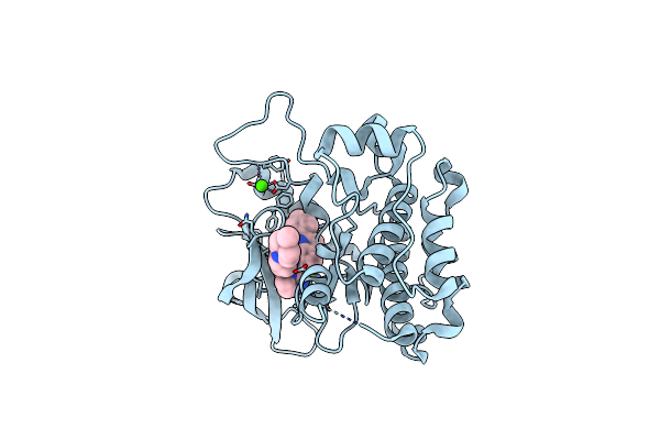 3D94 image