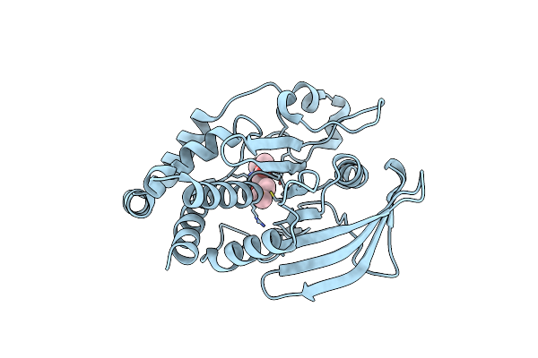 3D9C image