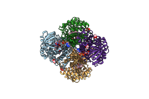 3D9D image