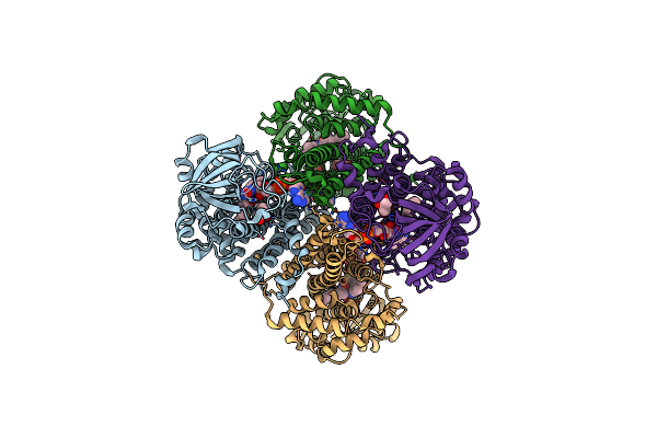 3D9E image