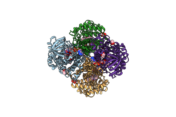 3D9F image
