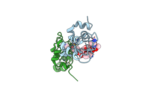 3D9T image