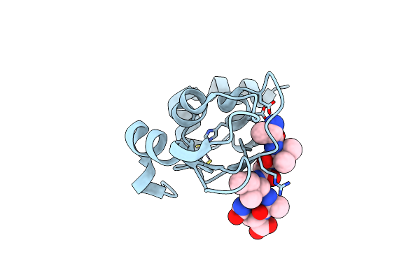 3D9U image