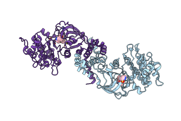 3D9V image