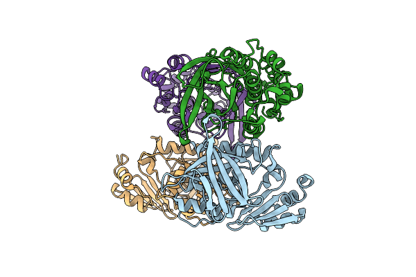 3D9W image