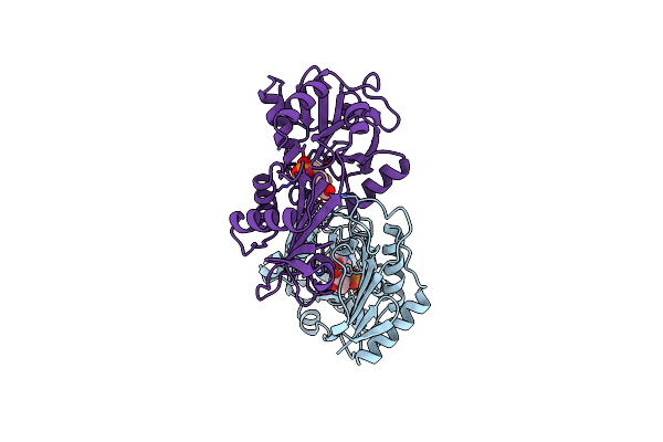 3DAA image