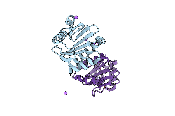 3DAV image