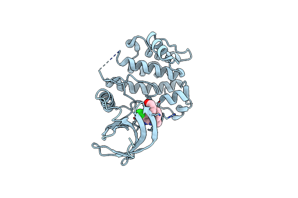 3DB8 image
