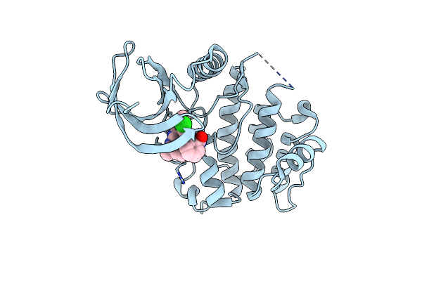 3DBD image