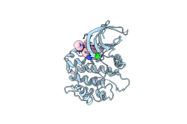 3DBE image