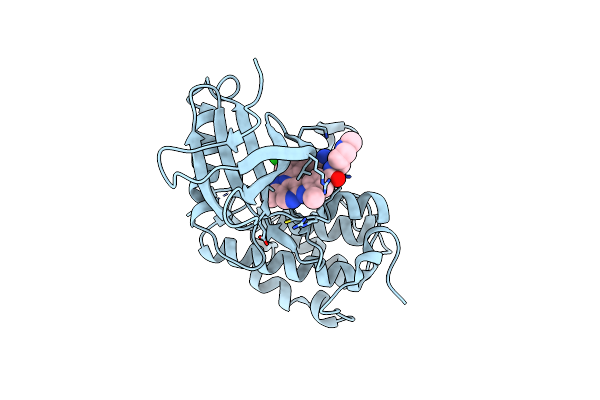 3DBF image