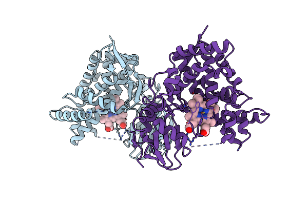 3DBG image
