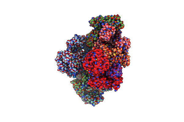 3DBH image