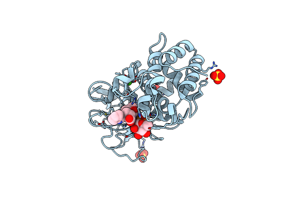 3DBK image