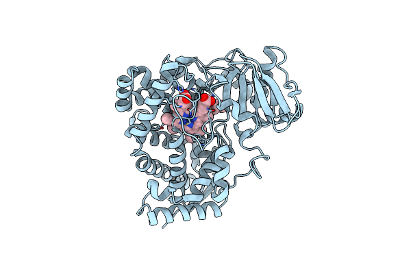 3DBM image