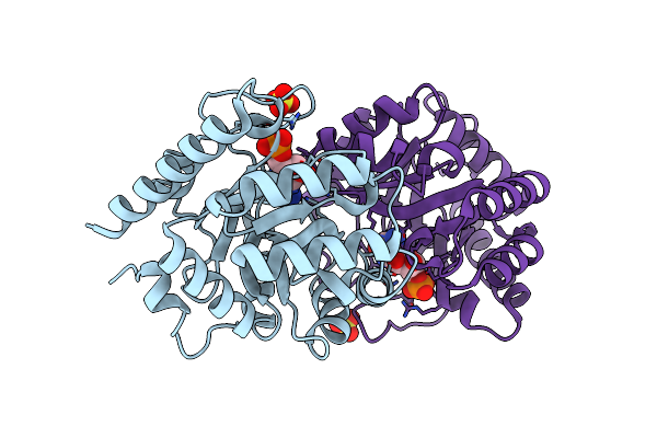 3DBP image