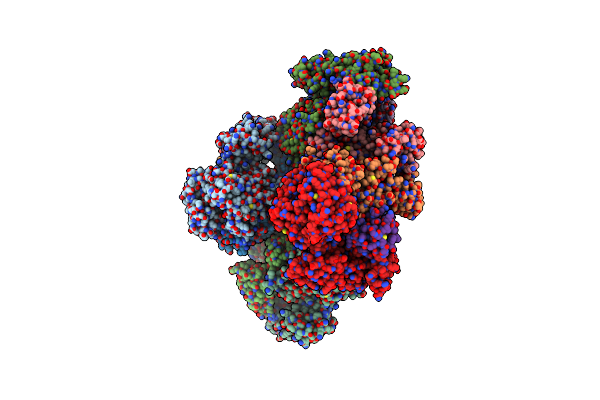 3DBR image