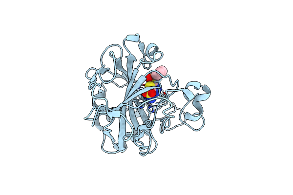 3DBU image