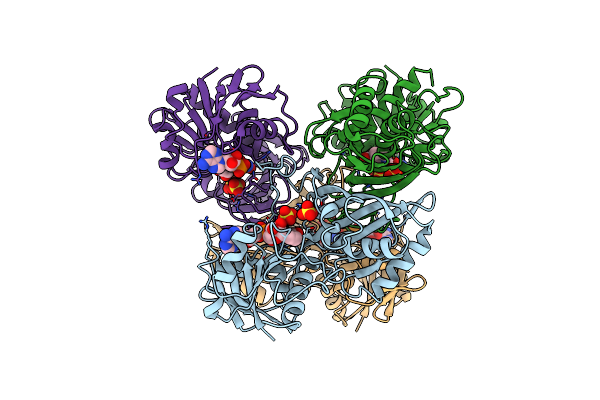3DBV image