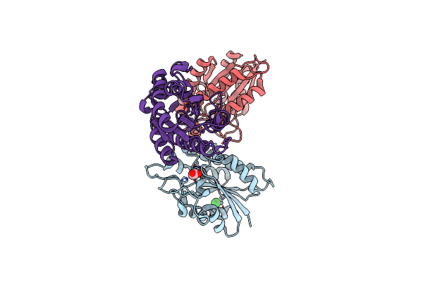 3DCI image