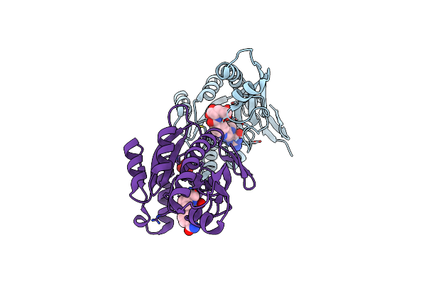 3DCJ image