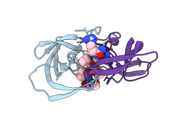 3DCR image