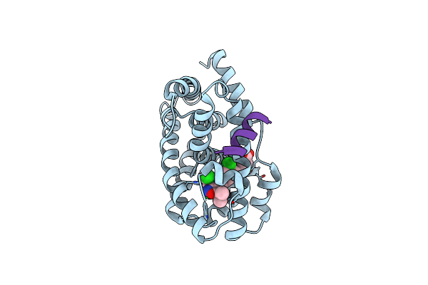 3DCT image