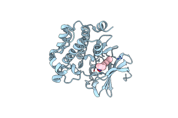 3DCV image
