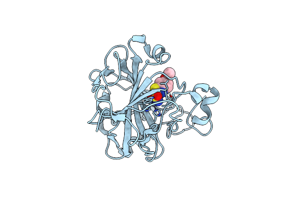 3DCW image