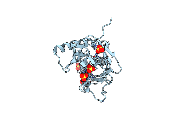 3DD6 image
