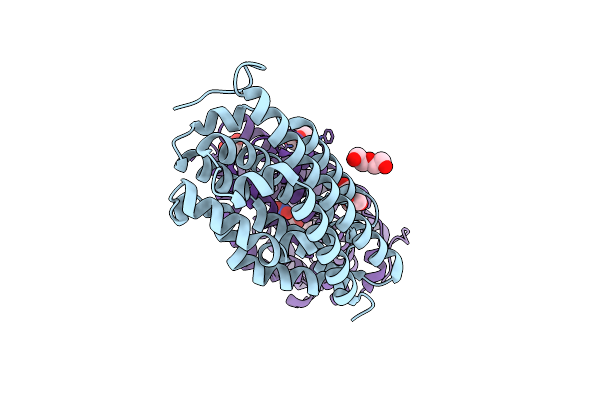3DDE image