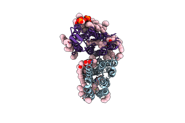 3DDL image