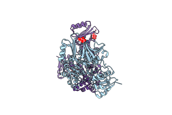 3DDN image