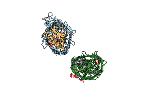 3DDR image