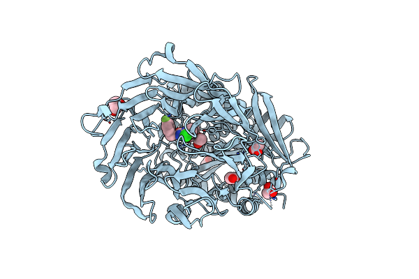 3DDU image