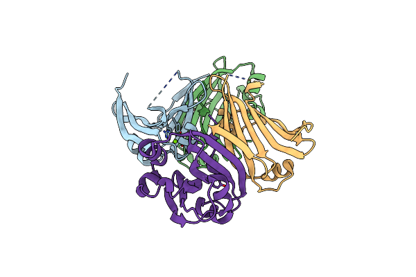 3DDV image